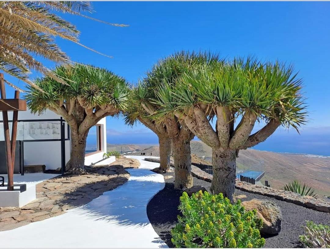 Casa La Tunera, Country House, Haria, Lanzarote Extérieur photo